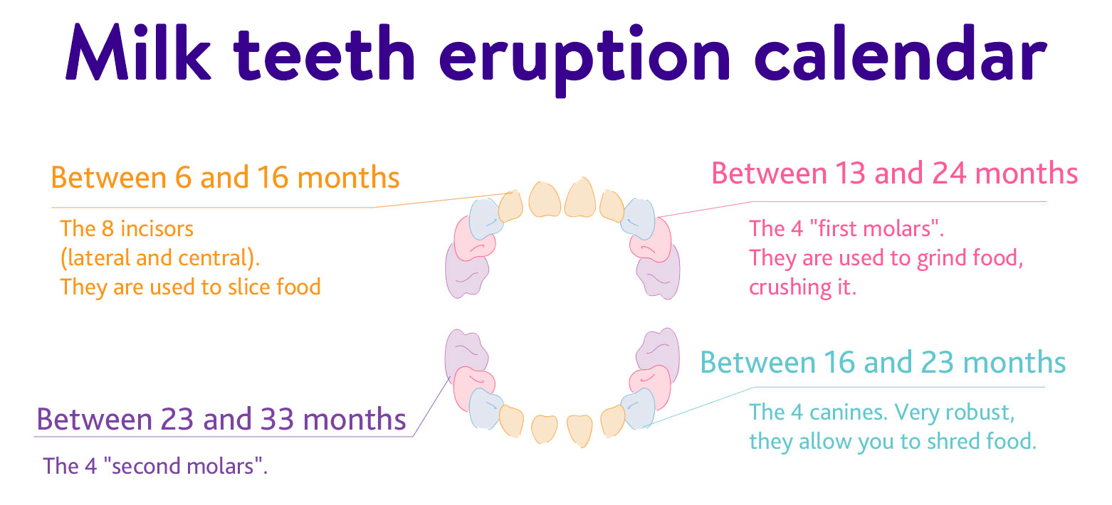 Parents guide BABY TEETHING