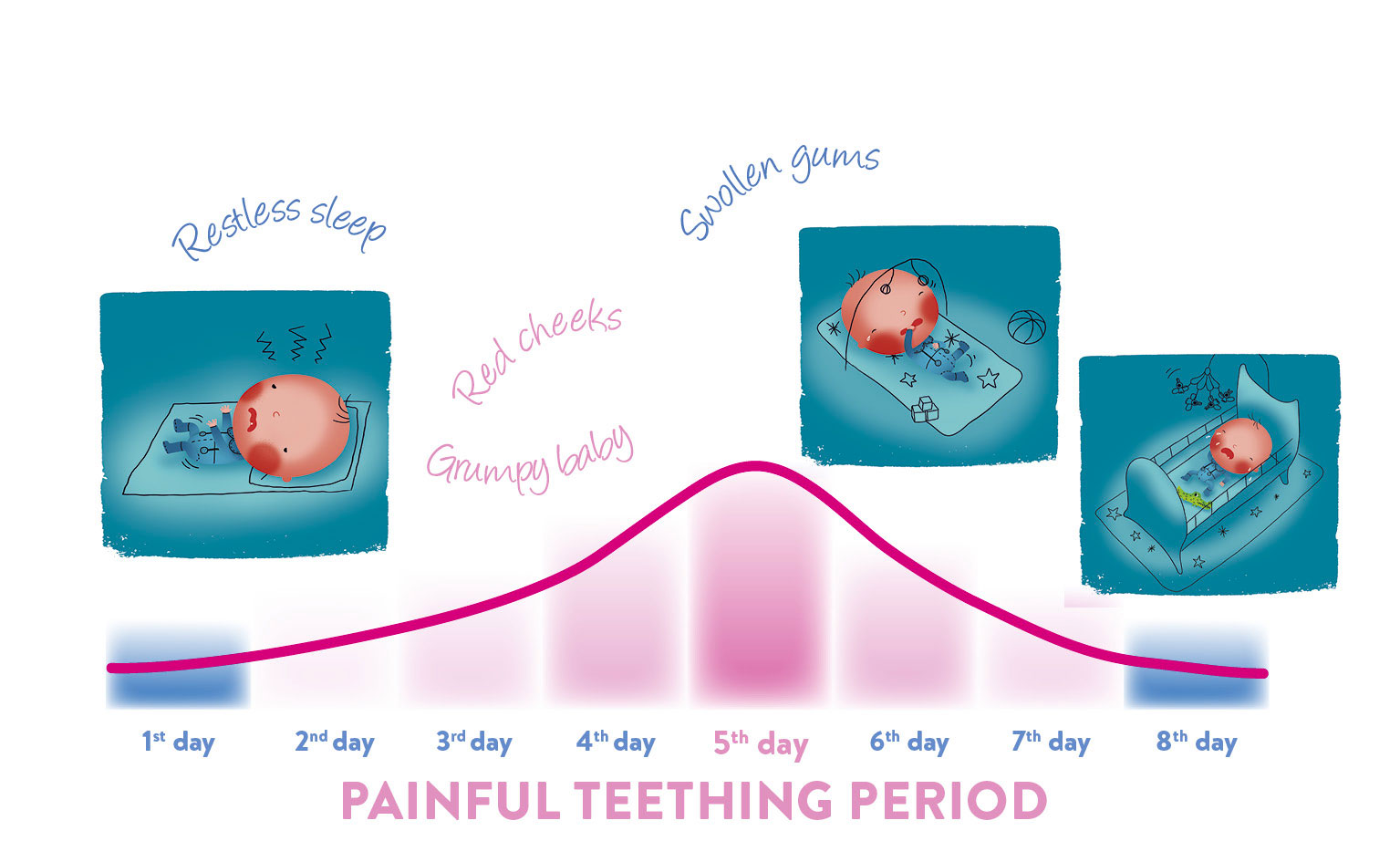 Parents guide BABY TEETHING